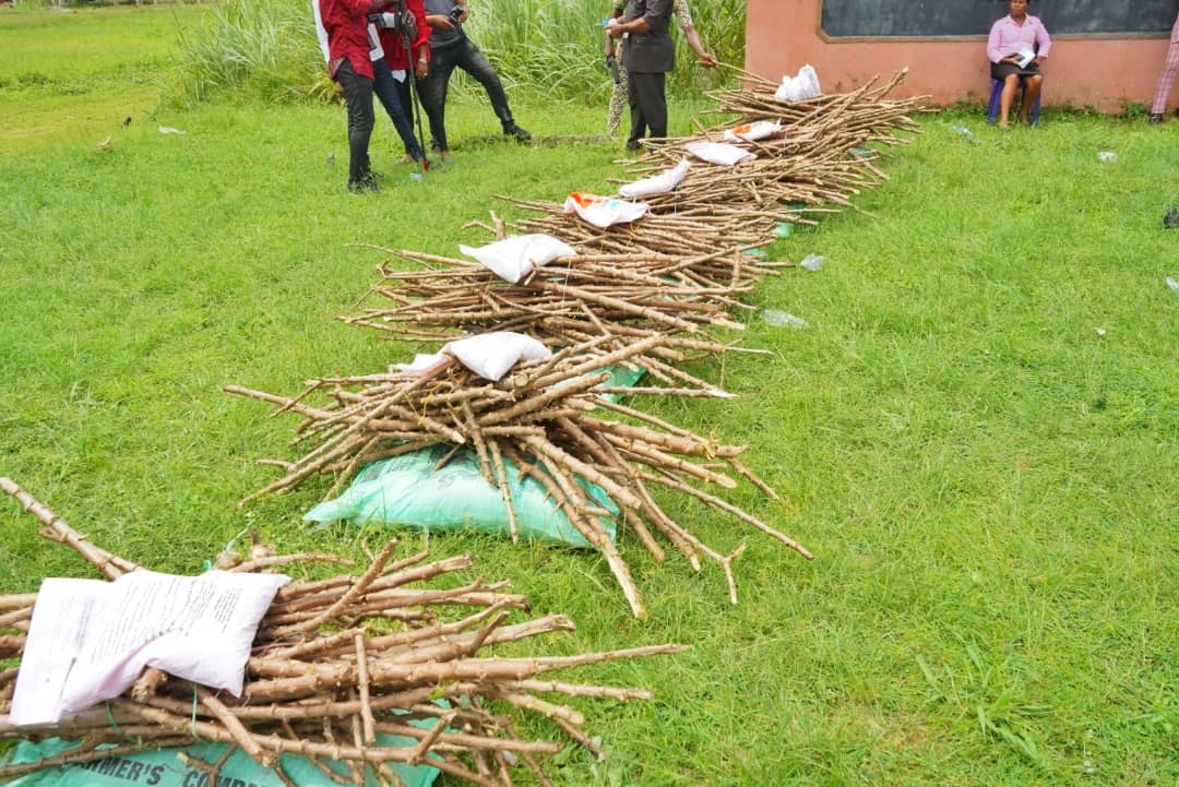 215869144_652893076109836_728912165145657818_n